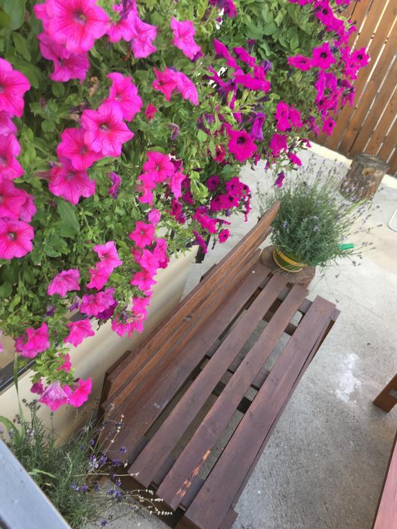Apartament Centralna Grill & Fun Apartment