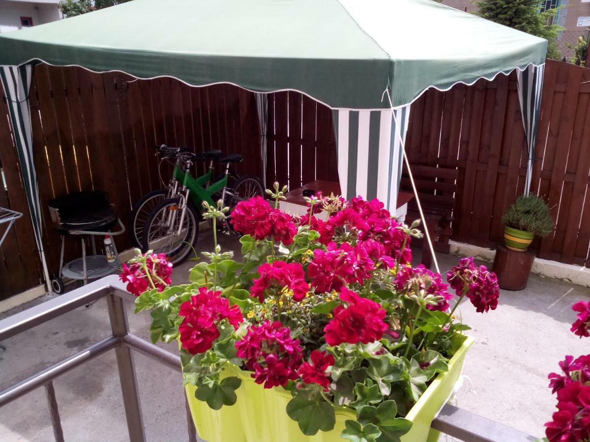 Apartament Centralna Grill & Fun *