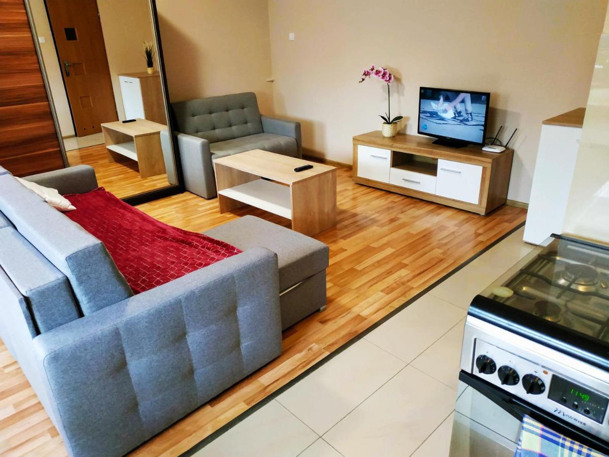 Apartament Centralna Grill & Fun Apartment