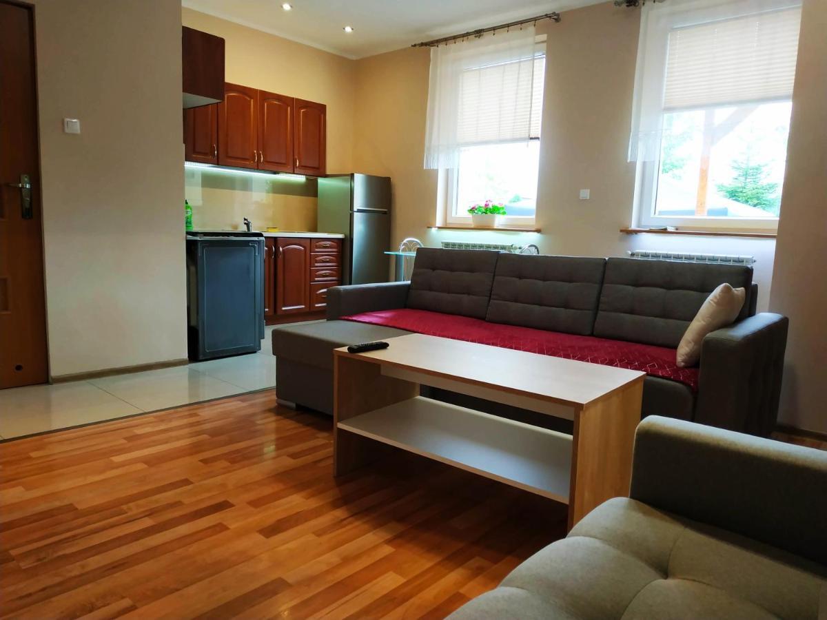 Apartment Apartament Centralna Grill & Fun Krakau